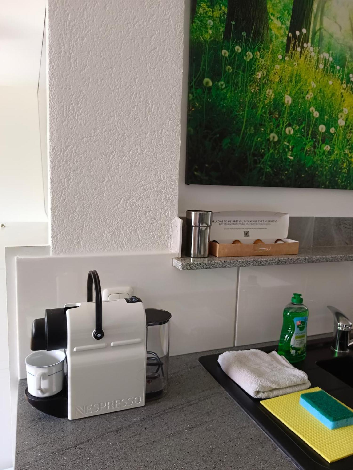 Suite-traunsee Apartment Nachdemsee