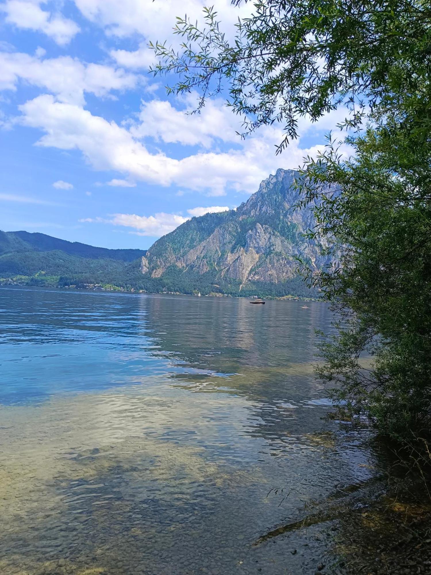 Apartment Suite-traunsee